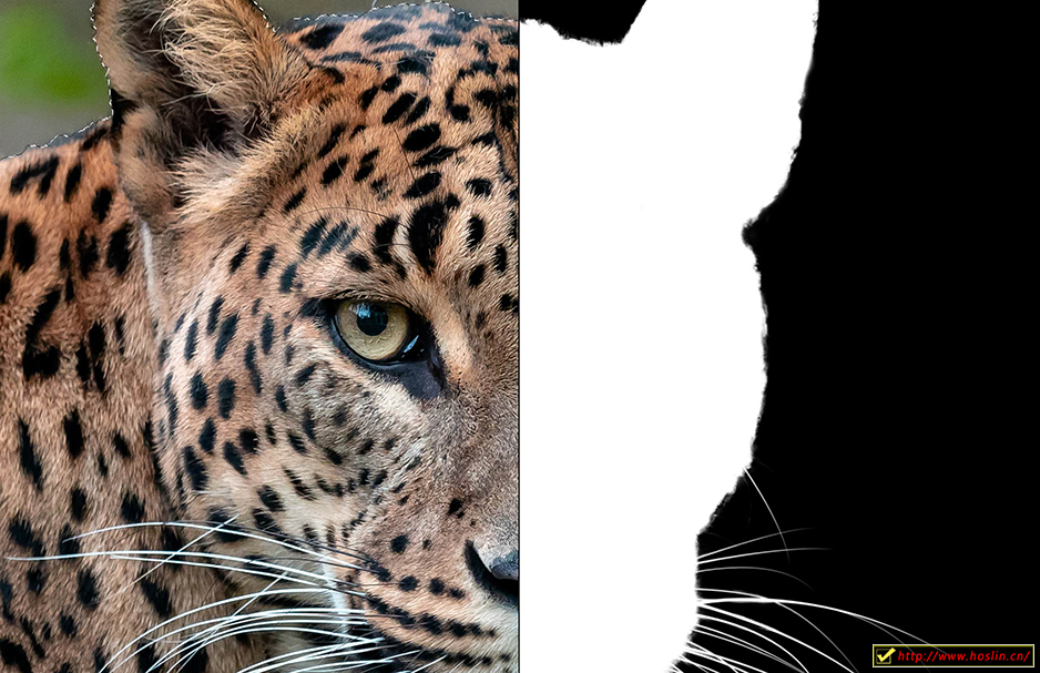 【软件】专业图片编辑处理设计软件 Affinity Photo 1.9.0.932 中文版 支持Win/Mac插图(8)