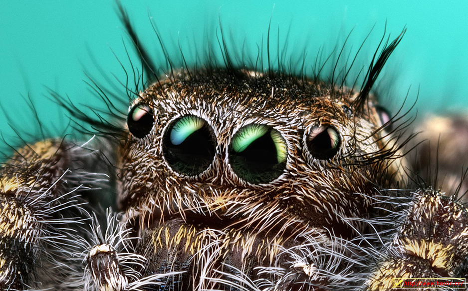 【软件】专业图片编辑处理设计软件 Affinity Photo 1.9.0.932 中文版 支持Win/Mac插图(10)