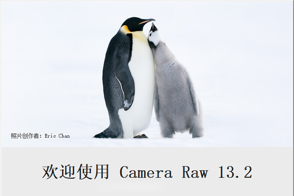 【ACR滤镜】Camera Raw 13.2 调色滤镜新增超级分辨率 Win/Mac中文版