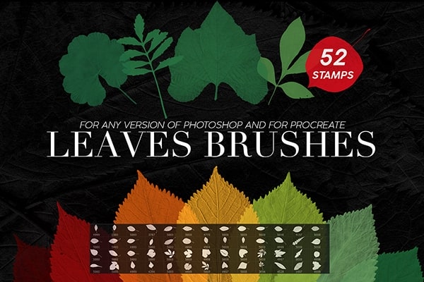 【PS笔刷】52支高分辨率新鲜树叶形状PS笔刷 52 Leaves photoshop Stamp Brushes