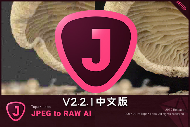 【软件】AI人工智能图像转换软件 Topaz JPEG To RAW AI v2.2.1 Win/Mac汉化版