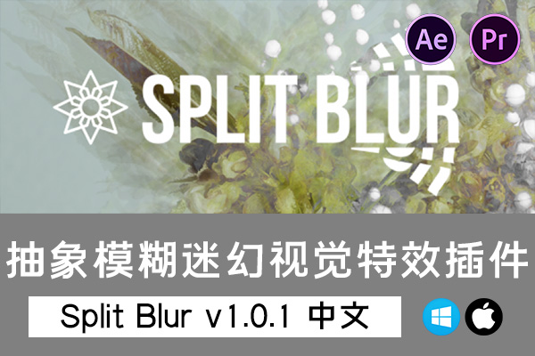 【AE/PR插件】万花筒分割模糊迷幻视觉特效 Split Blur v1.0.1 Win/Mac汉化版