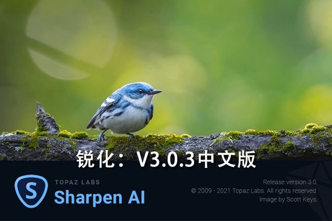 【软件/PS插件】人工智能图片锐化清晰处理软件/PS插件 Topaz Sharpen AI v3.0.3 Win/Mac汉化版