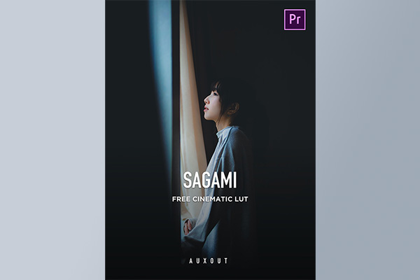 【调色预设】油管大神AUXOUT电影级调色风格化LUT预设 FREE SAGAMI LUT