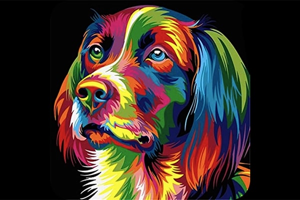 【Mac软件】照片调色处理软件 Splash n Recolor v4.3 中文版