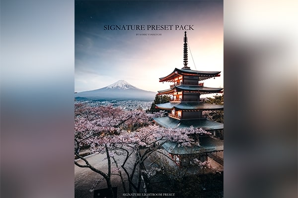 【LR预设】INS日本网红摄影师山口幸树2020签名预设包Lightroom预设 Kohki – Signature Preset Pack