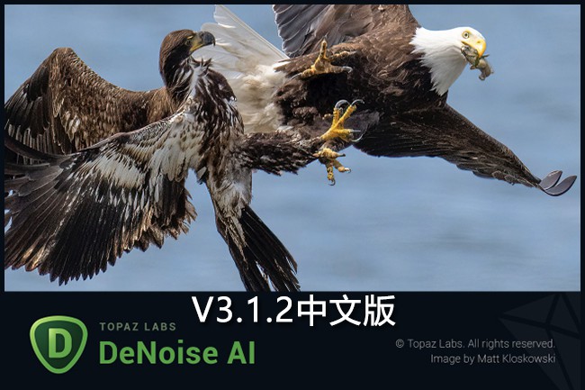 【软件/PS插件】图片人工智能AI降噪去颗粒处理软件 Topaz DeNoise AI v3.1.2 Win/Mac汉化版