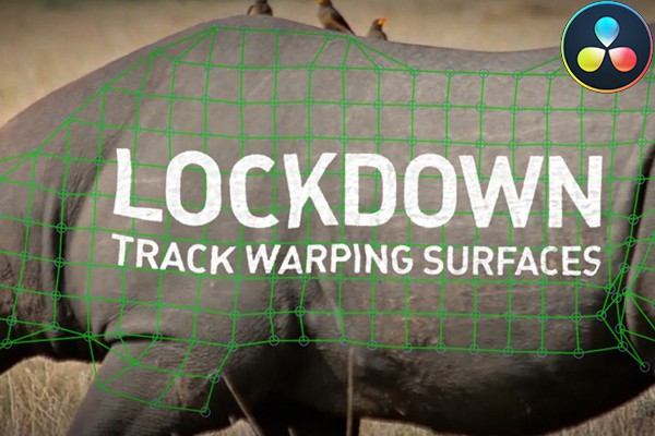 【达芬奇插件】物体表面跟踪特效合成高级工具 Lockdown OFX v2.5.0 Win/Mac版