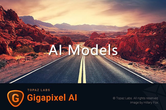 AI智能图片放大软件Topaz Gigapixel AI 加速计算模型配置文件离线包 AI Models 仅Win系统