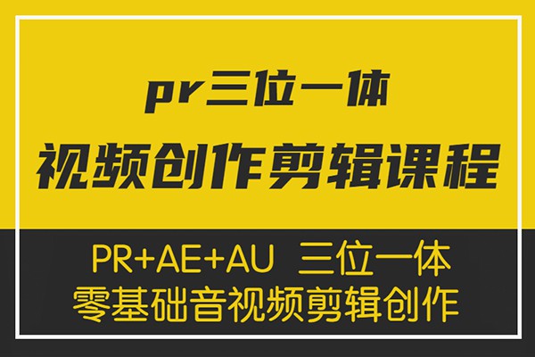 【视频教程】PR+AE+AU三位一体零基础音视频创作&剪辑特训营【完结】