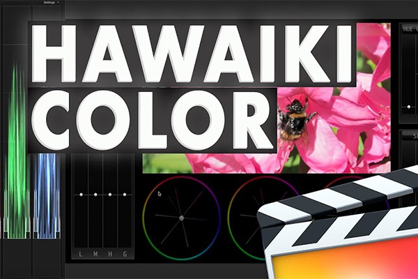 【FCPX插件】颜色分级调色工具FCPX色轮面板调色插件 Hawaiki Color 1.5.1