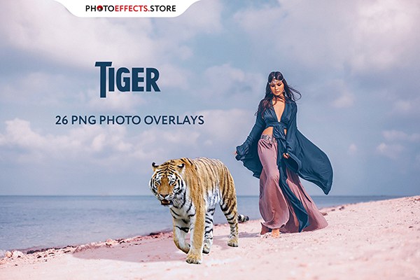 【PNG素材】26张高清老虎创意合成PNG图片素材 26 Tiger Photo Overlays