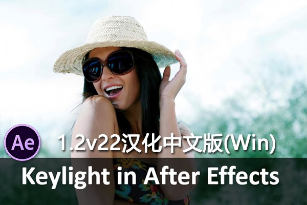 【AE插件】经典蓝绿屏键控抠像插件 The Foundry Keylight 1.2v22 Win汉化版