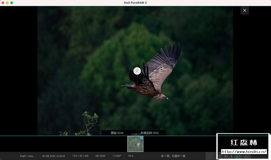 【软件】RAW照片处理修正软件 D.x.O PureRaw 2.0.1(1) 汉化中文版 支持Win/Mac插图(8)