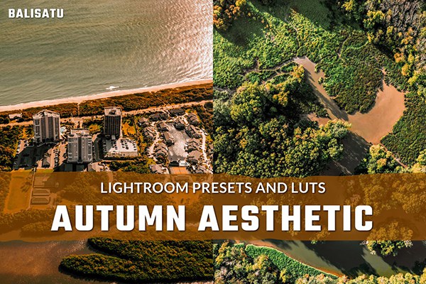【调色预设】10款秋季旅拍电影风光后期调色LR预设视频Vlog后期调色LUT预设 Autumn Aesthetic LUTs and Lightroom Presets