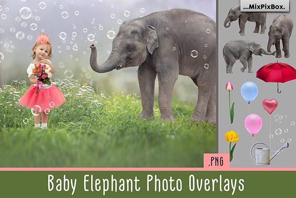 【PNG素材】20张童趣小象花伞气球水泡元素照片合成PNG素材 Baby Elephant Photo Overlays