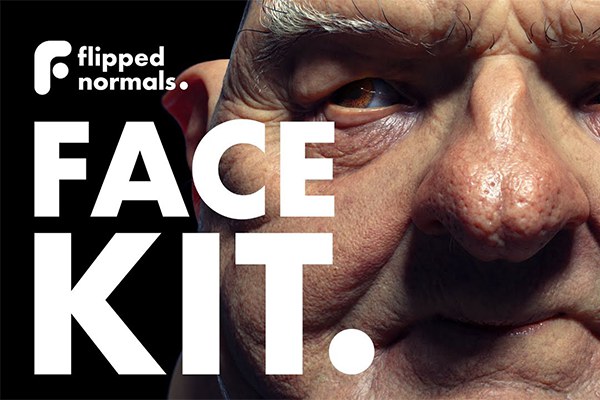 【材质贴图】100张真实人物脸部皮肤纹理细节深度法线贴图 FlippedNormals – Face Kit