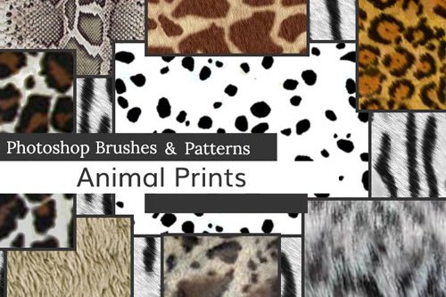 【PS笔刷】用于 Photoshop 和 Photoshop Elements 的 17种动物毛发和18个PS图案 Animals Prints