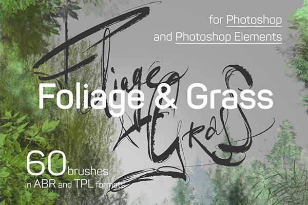 【PS笔刷】60种地表苔藓地衣草地叶子植物PS笔刷套装 60 Photoshop Foliage & Grass brushes