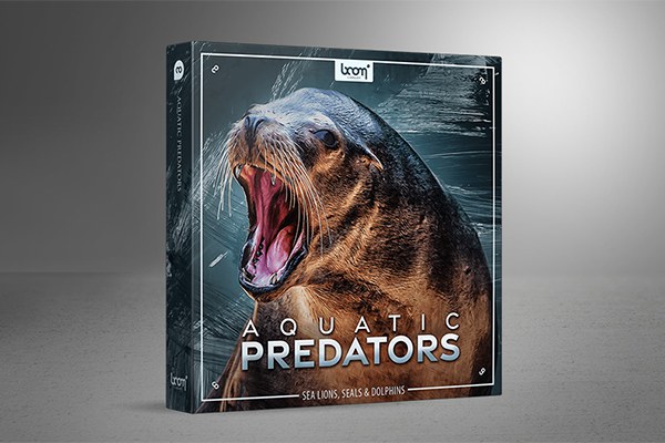 【配乐音效】1085种海狮海豹海豚海象动物嘶吼捕食鸣叫无损音效 Boom Library – Aquatic Predators