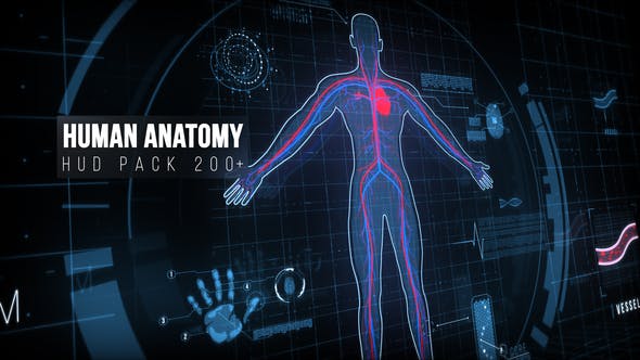 【AE模板】200种科技感人体器官UI界面展示HUD元素动画 Human Anatomy HUD Pack 200+
