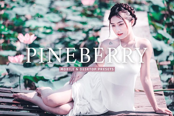【LR预设】13款菠萝莓自然通透明亮胶片人像Lightroom调色预设 Pineberry Pro Lightroom Presets