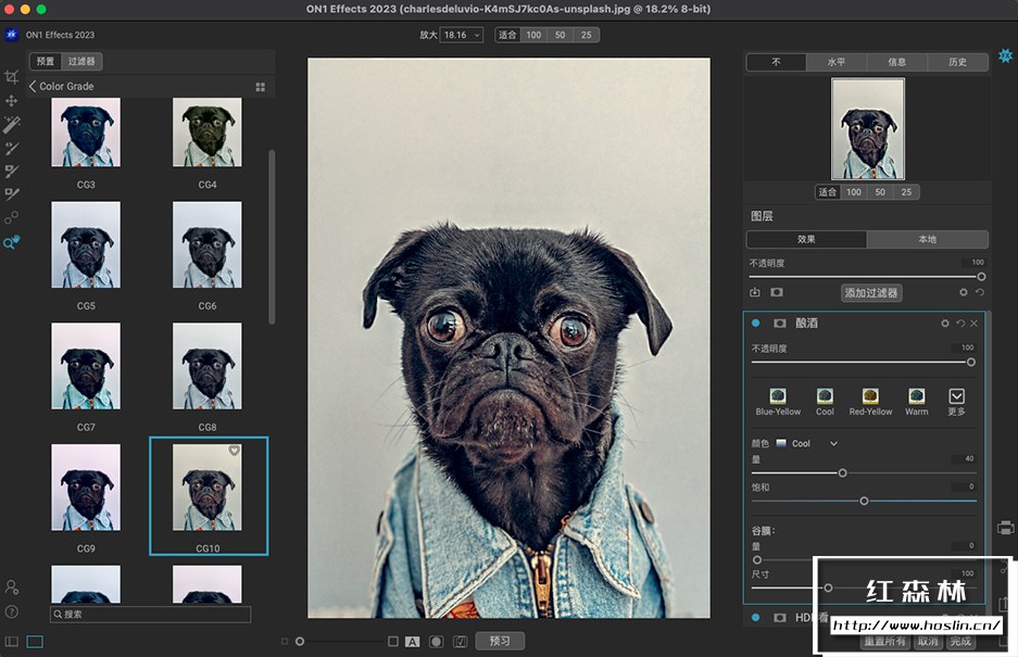 【软件/PS插件】功能强大的照片滤镜调色特效软件 ON1 Effects 2023（17.0.1.12976）Win/Mac中文版插图(5)