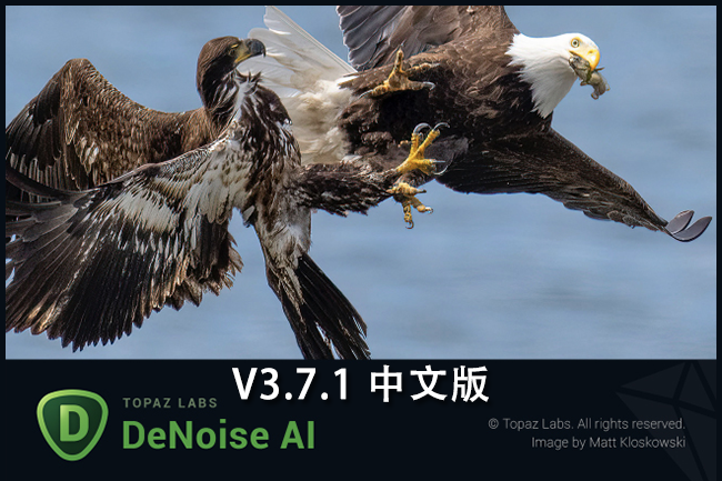 【软件/PS插件】图片人工智能AI降噪去颗粒处理软件 Topaz DeNoise AI v3.7.1 Win汉化版