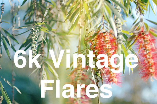 【4K视频素材】65个复古镜头光效动画叠加动画4K视频素材 Rocket Rooster – Vintage Flares