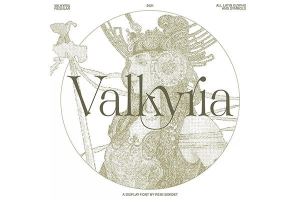 【字体】时尚优雅欧风画册海报杂志排版标题Logo设计英文衬线字体 Studio Innate – Valkyria