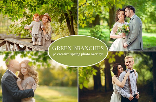 【PNG素材】40张春天绿叶树叶前景遮挡创意摄影照片叠加PNG素材 Green Branches Photo Overlays