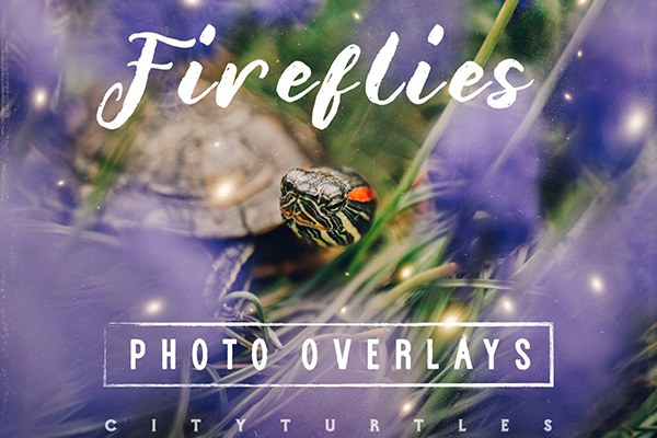 【图片素材】30张梦幻童话世界萤火虫魔法照片合成图片素材 30 Dreamy Firefly Photo Overlays