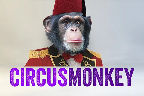 【AE脚本】个性动态文字排版3D翻转动画倒鸭子字幕脚本 CircusMonkey v1.08 + 使用教程