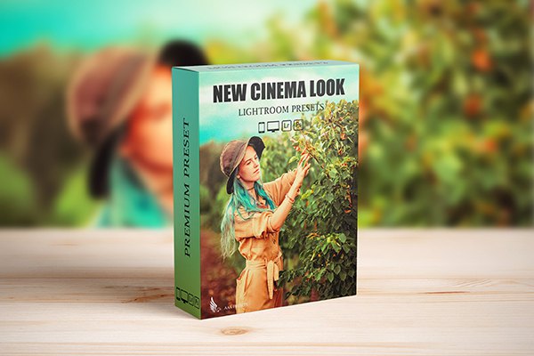 【LR预设】10款复古人像Steal电影高饱和摄影调色Lightroom预设 Steal Film Cinematic Look Lightroom Presets