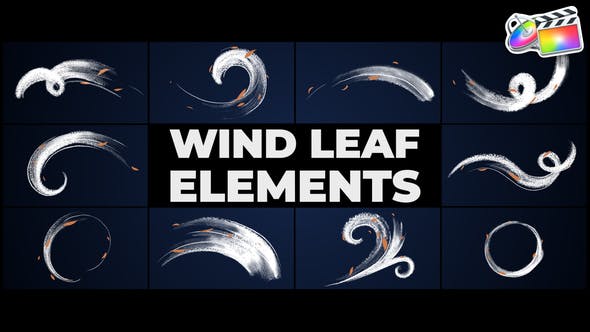 【FCPX插件】11个抽象卡通手绘风叶动画元素 Wind Leaf Elements