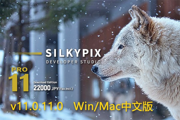 【软件】专业RAW照片处理编辑软件 SILKYPIX Developer Studio Pro 11.0.11.0 Win/Mac中文版