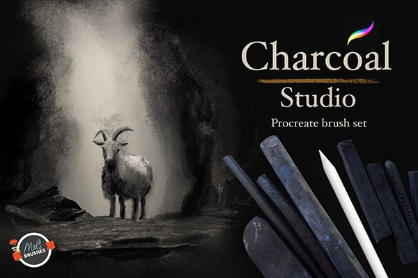 【Procreate笔刷】15支手绘炭画干介质效果木炭绘画iPad笔刷 Charcoal Studio Procreate Brushes
