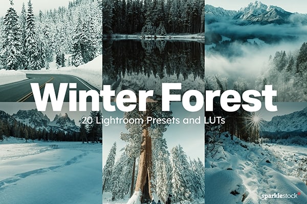 【调色预设】20款冬季雪景户外摄影后期调色预设 20 Winter Forest Lightroom Presets