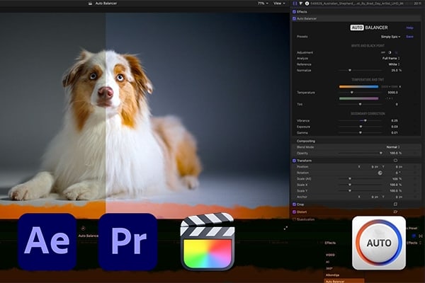 【FCPX/AE/PR插件】视频画面自动色彩色温白平衡调色工具 Auto Balancer