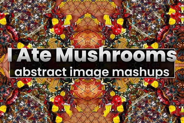 【AE插件】人工智能AI神经网络图像生成器 I Ate Mushrooms v1.8.26 Win/Mac版