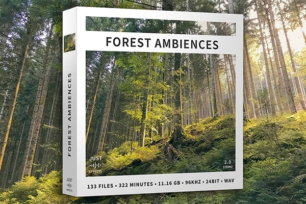 【配乐音效】133个中欧森林自然四季宁静纯粹鸣禽树木背景氛围无损音效 Just Sound Effects – Forest Ambiences