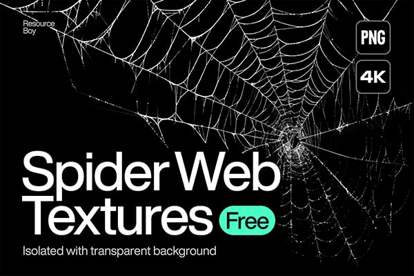 【图片素材】200款蛛丝蜘蛛网残破荒芜场景设计图片素材 200 Spider Web Textures