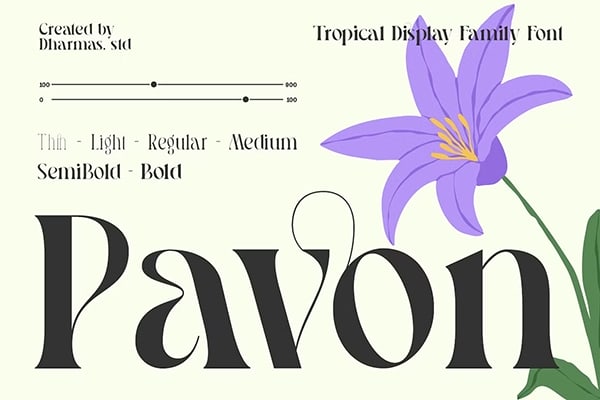 【字体】优雅浪漫精致艺术创意海报品牌标题LOGO设计英文衬线字体 Pavon – Tropical Display Family