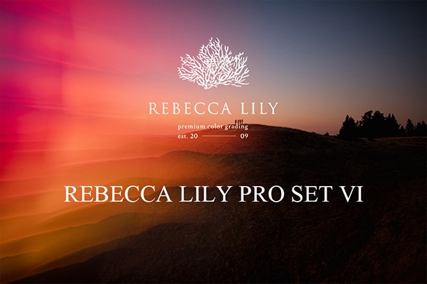 【LR预设】105款梦幻柔和明亮渐变光影舒缓粉彩古典黑白摄影调色Lightroom预设 Rebecca Lily Pro Set VI