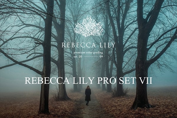 【LR预设】55款复古怀旧电影胶片渐晕颗粒情绪摄影纪录人文后期调色Lightroom预设 Rebecca Lily Pro Set VII