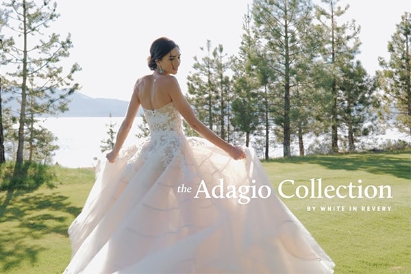 【调色预设】5款鲜活明亮经典胶片浪漫爱情婚礼生活摄影调色LUTs预设 White In Revery – Adagio