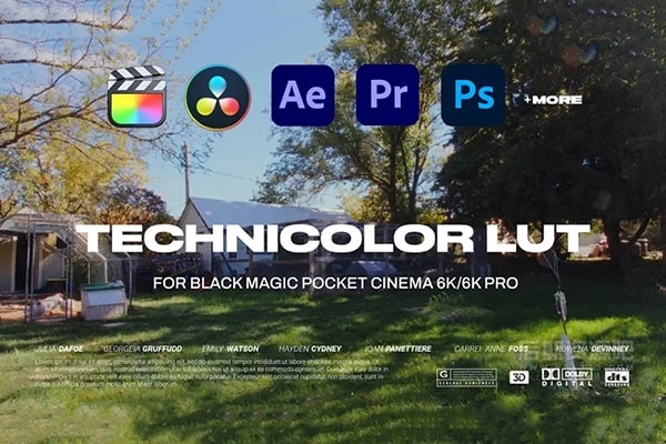 【调色预设】1920年代复古老式电影特艺彩色镜头高饱和外观调色预设 Technicolor LUT Pack for Black Magic Pocket Cinema 6K/6k Pro
