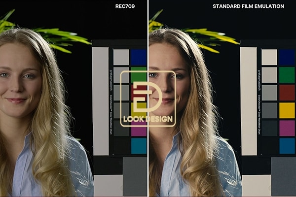 【AE/PR插件】电影胶片色彩模拟视频调色工具 Look Designer v3.1.1 Win汉化版