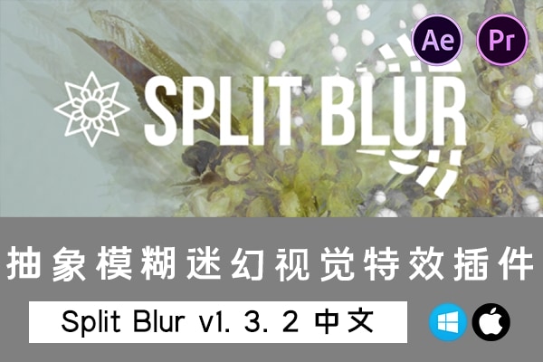 【AE/PR插件】万花筒分割模糊迷幻视觉特效 Split Blur v1.3.2 Win/Mac汉化中文版