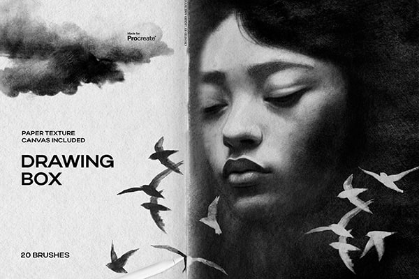 【Procreate笔刷】20支石墨铅笔画绘图盒草图素描涂抹插画纹理Procreate笔刷 Drawing Box Pencils For Procreate